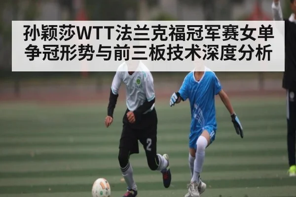 孙颖莎WTT法兰克福冠军赛女单争冠形势与前三板技术深度分析